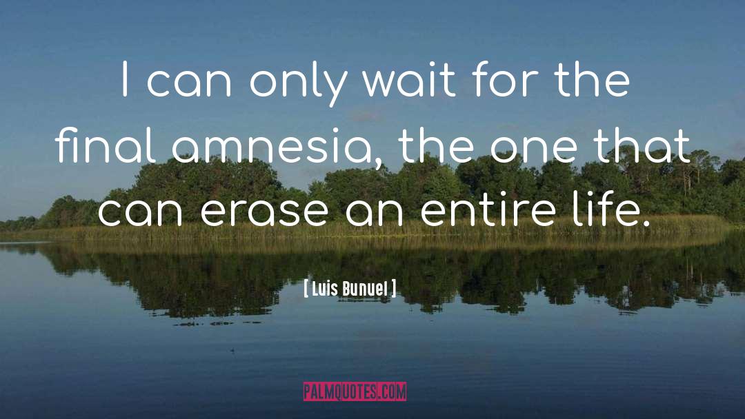 Amnesia quotes by Luis Bunuel