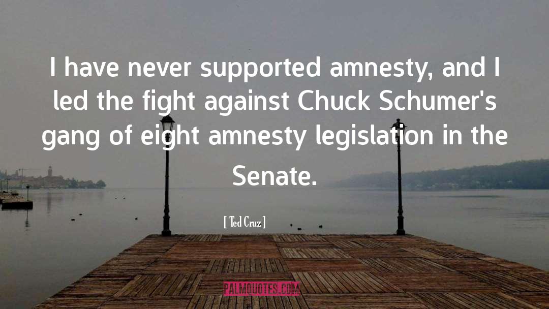 Amnesty quotes by Ted Cruz