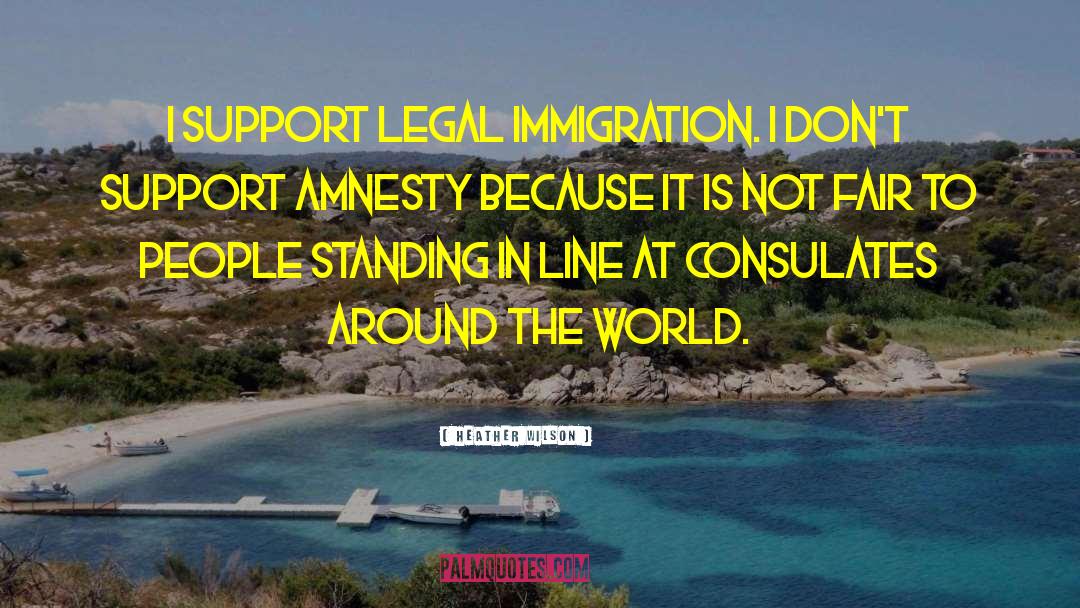 Amnesty quotes by Heather Wilson