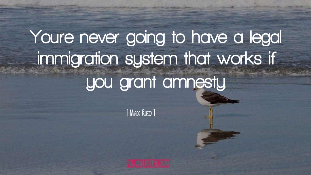 Amnesty quotes by Marco Rubio