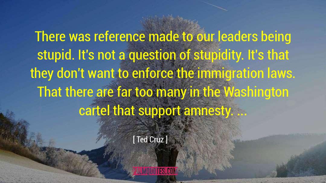 Amnesty quotes by Ted Cruz