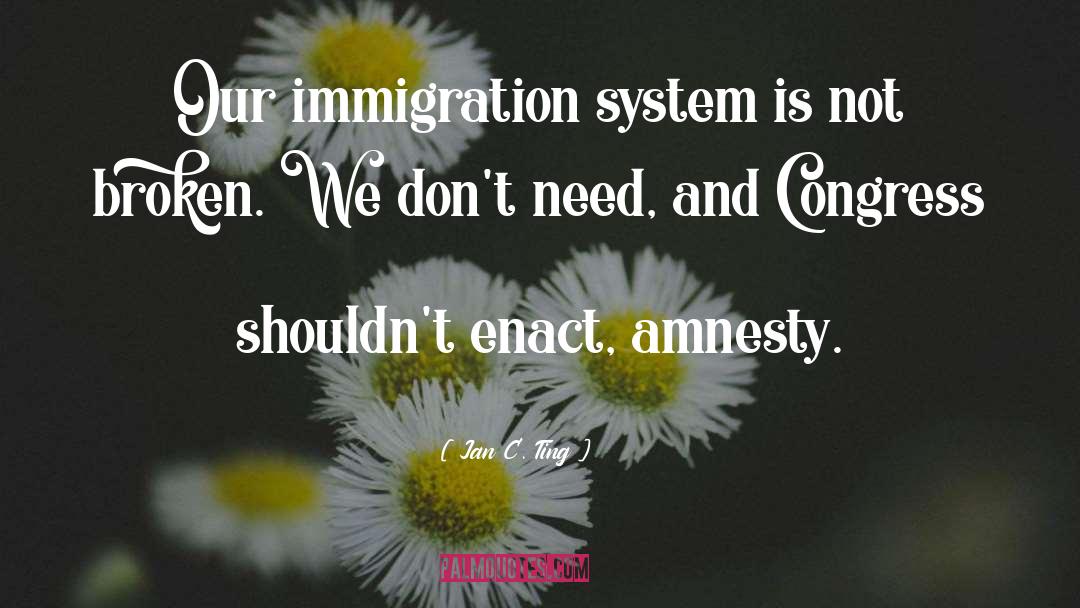 Amnesty quotes by Jan C. Ting