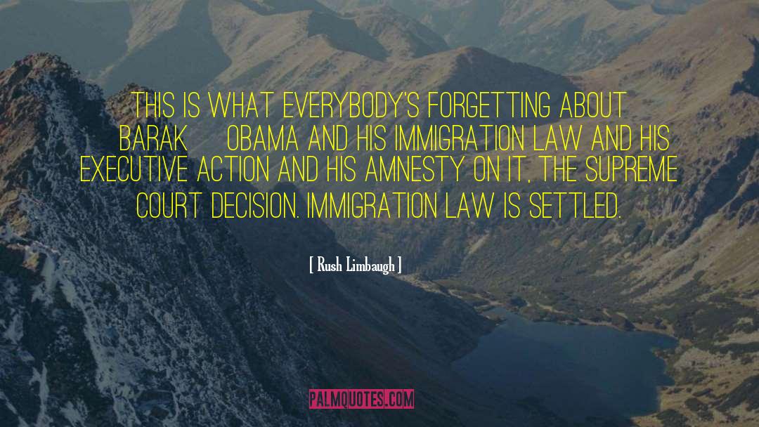 Amnesty quotes by Rush Limbaugh