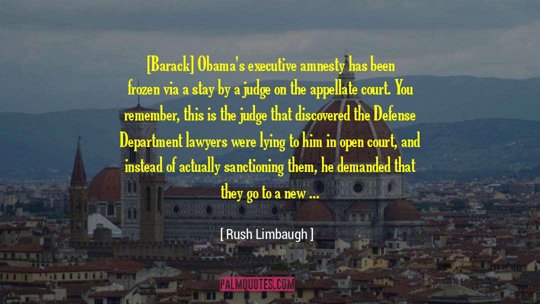 Amnesty quotes by Rush Limbaugh