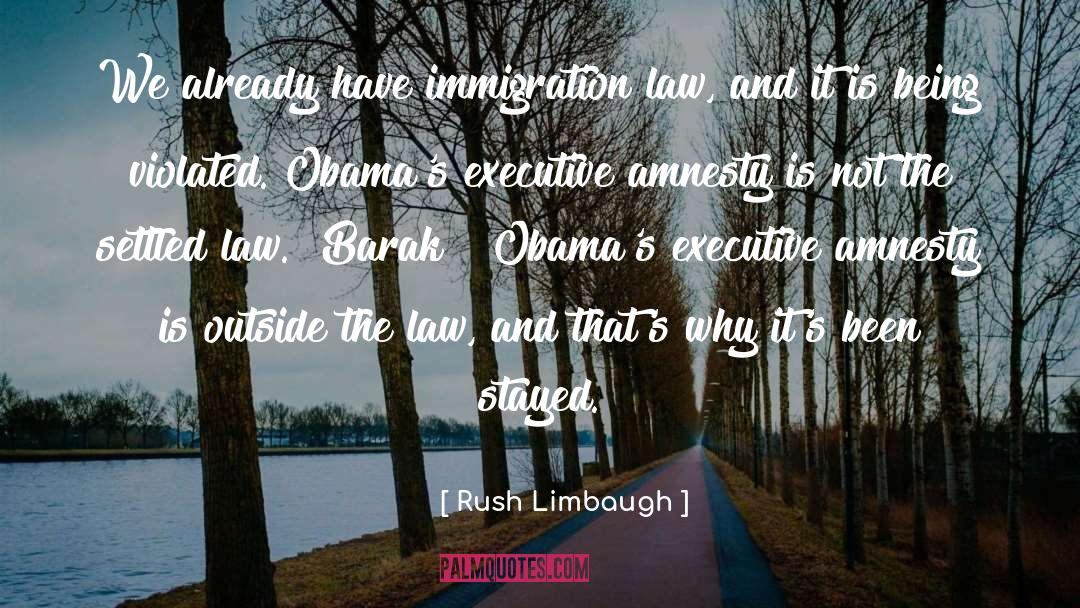 Amnesty quotes by Rush Limbaugh