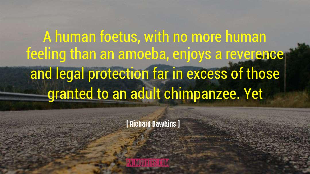 Amoeba quotes by Richard Dawkins