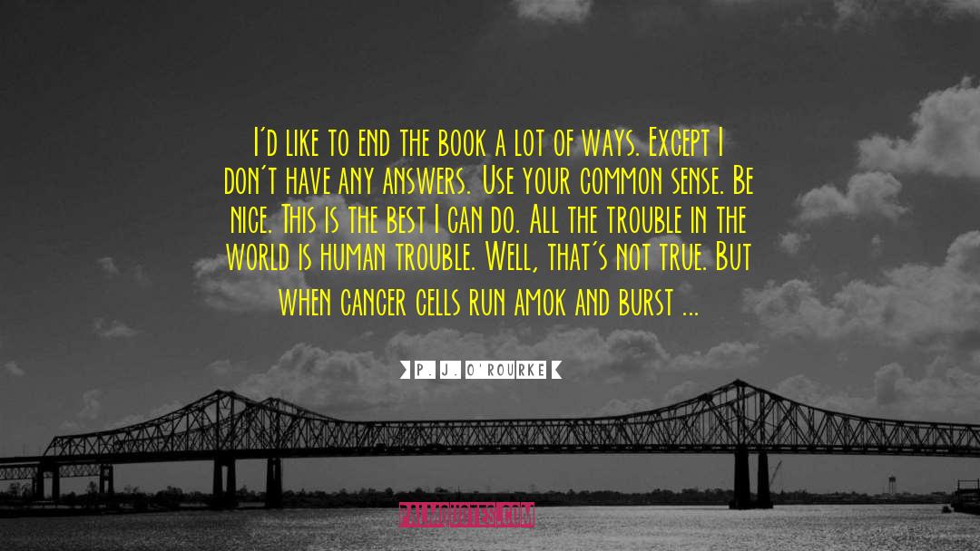 Amok quotes by P. J. O'Rourke