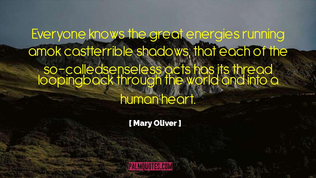 Amok quotes by Mary Oliver