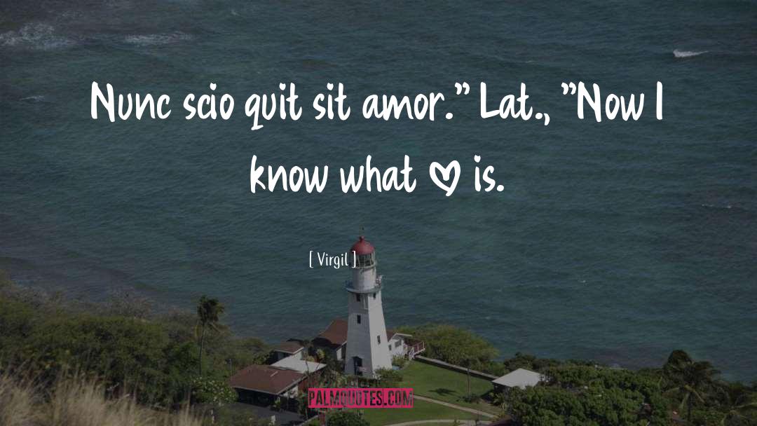 Amor Vincit Omnia Love quotes by Virgil