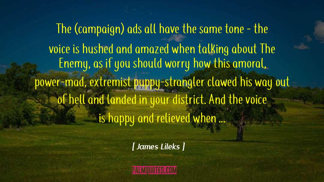 Amoral quotes by James Lileks