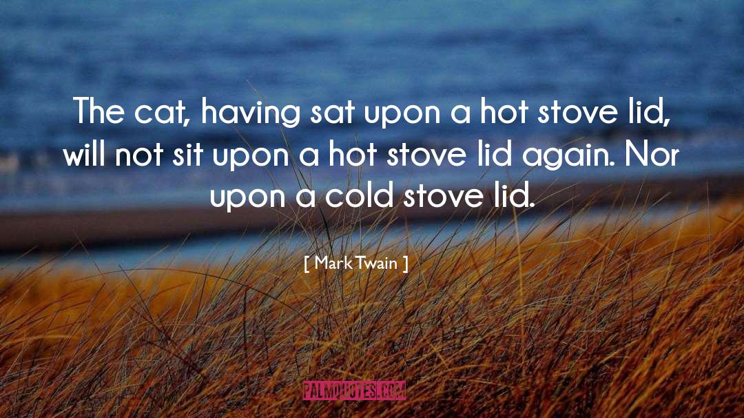 Amorence quotes by Mark Twain