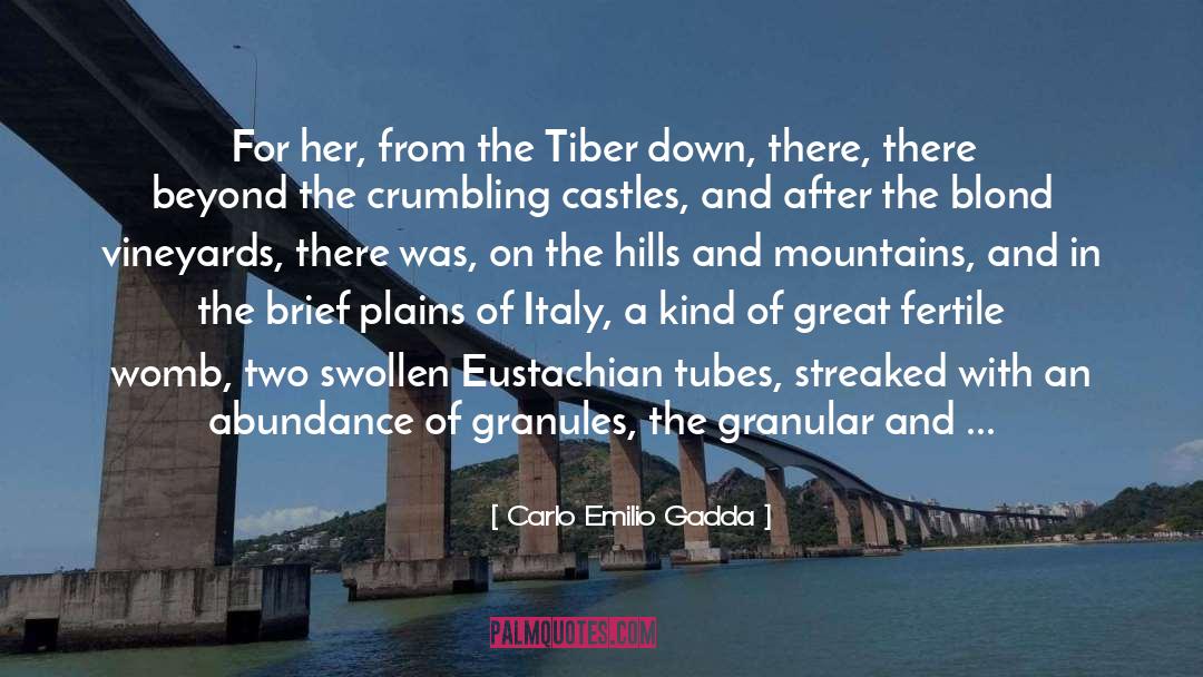 Amorous quotes by Carlo Emilio Gadda