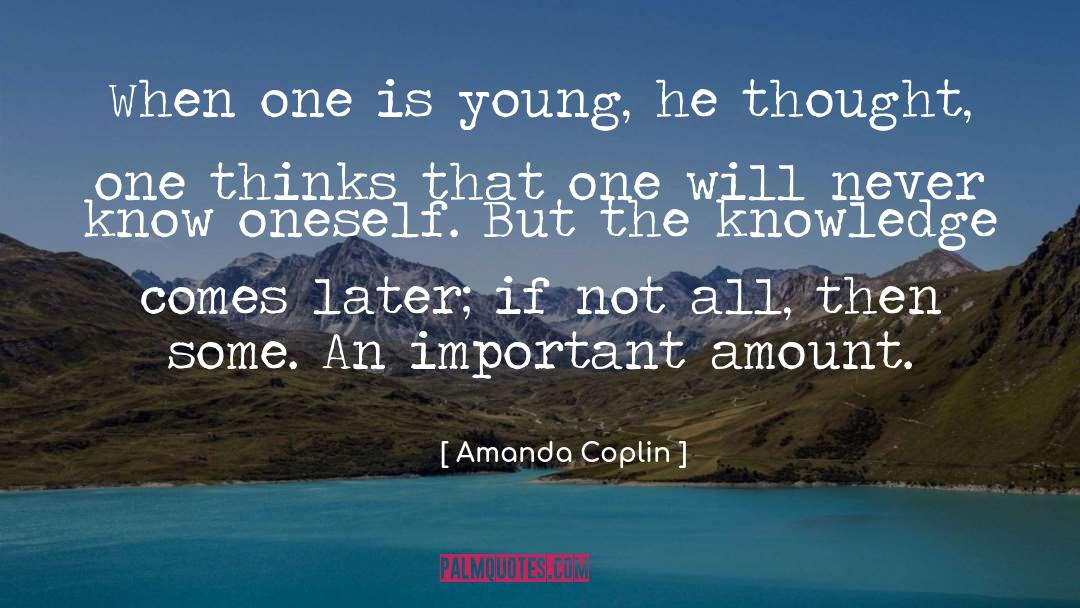 Amount quotes by Amanda Coplin