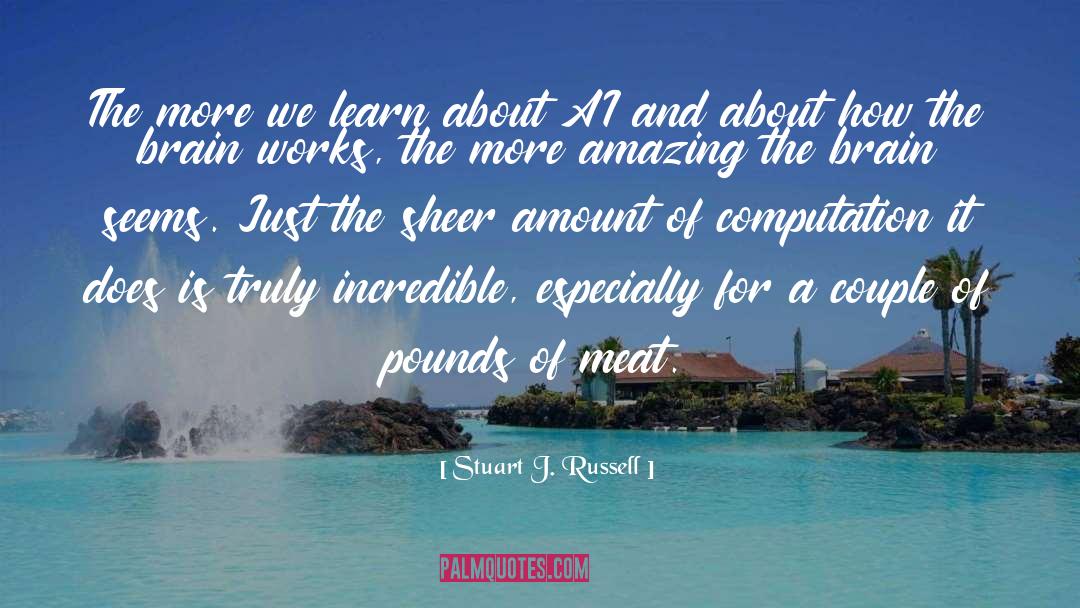 Amount quotes by Stuart J. Russell