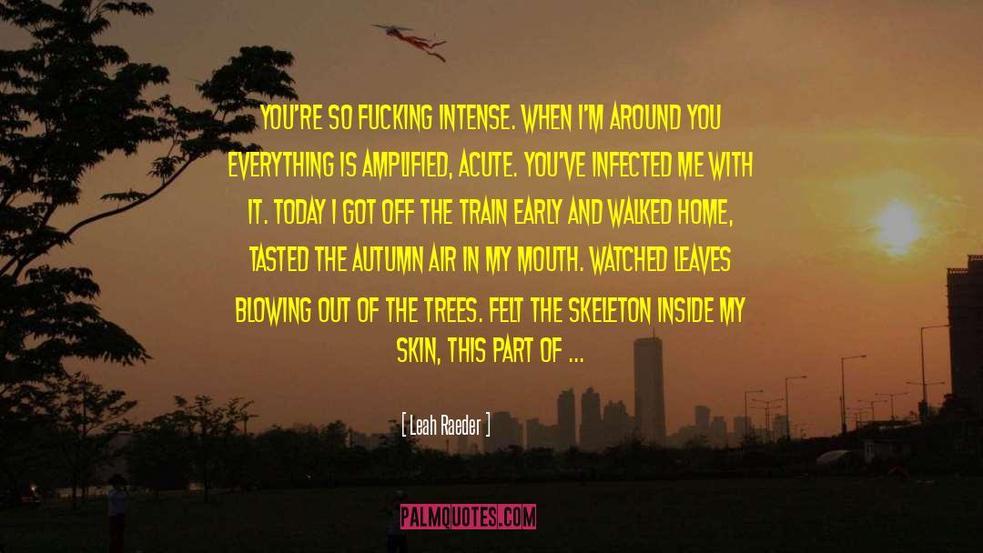 Amplified quotes by Leah Raeder