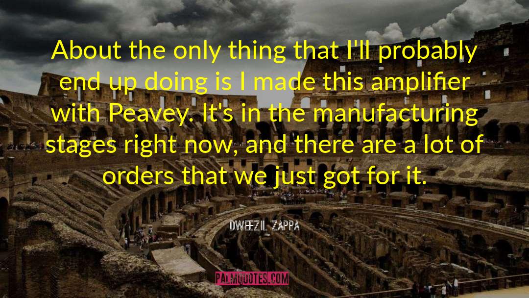Amplifier quotes by Dweezil Zappa