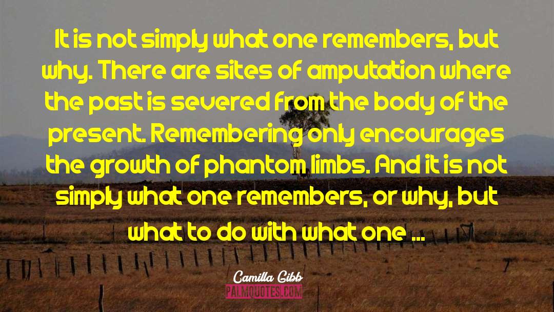 Amputation quotes by Camilla Gibb