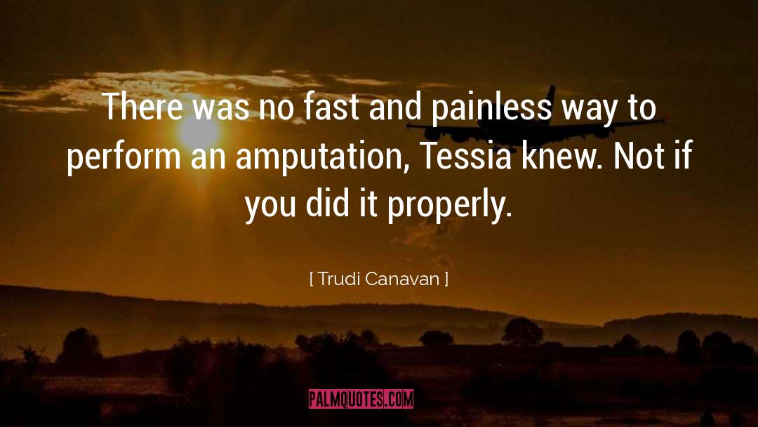 Amputation quotes by Trudi Canavan