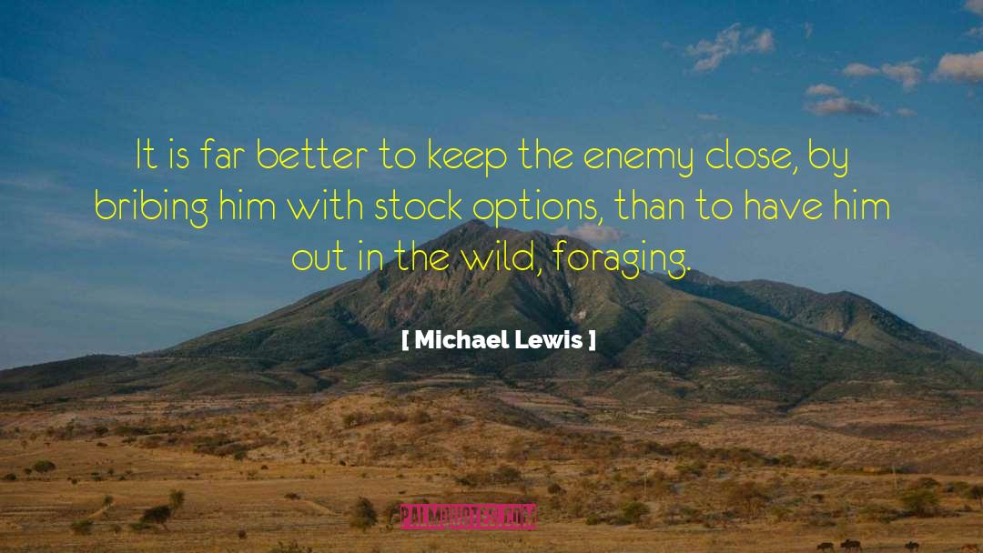 Amr Stock Quote quotes by Michael Lewis