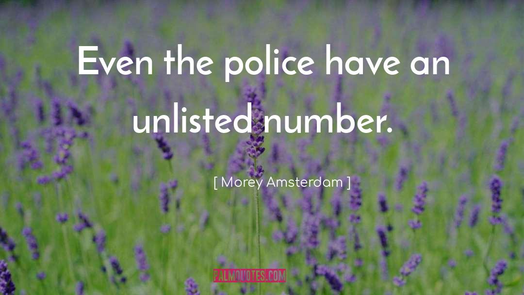 Amsterdam quotes by Morey Amsterdam