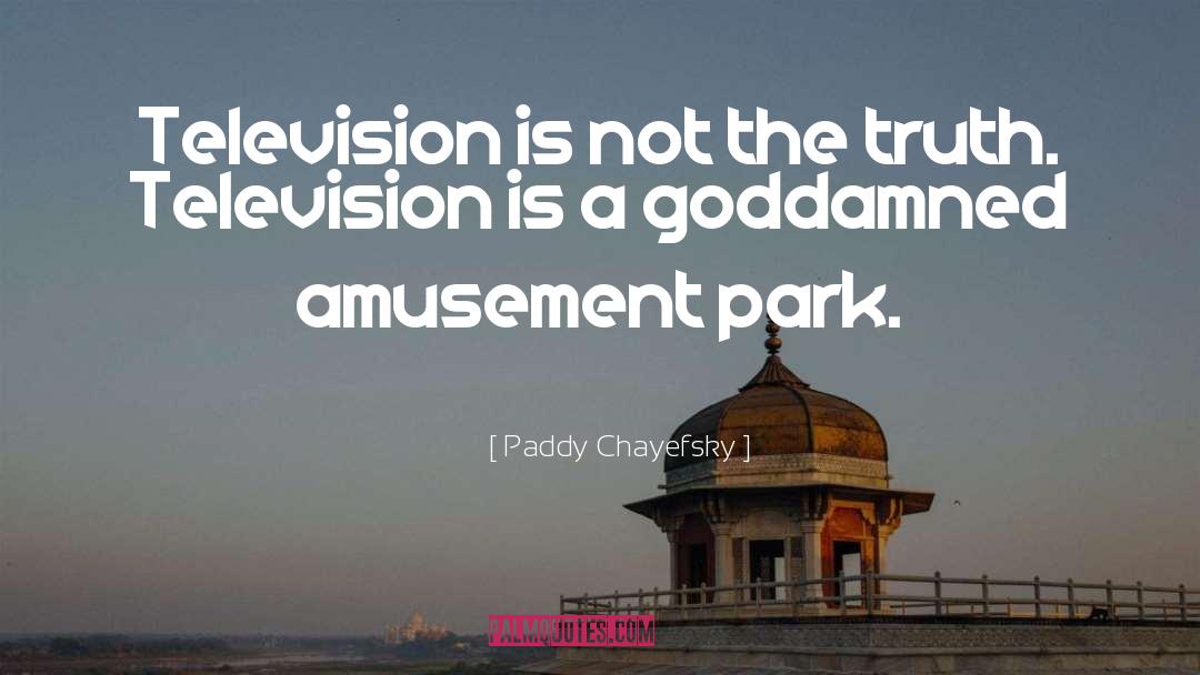 Amusement Parks quotes by Paddy Chayefsky