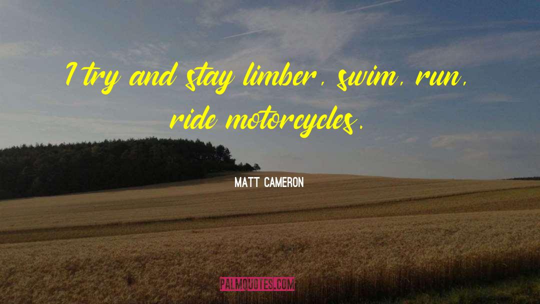 Amusement Ride quotes by Matt Cameron