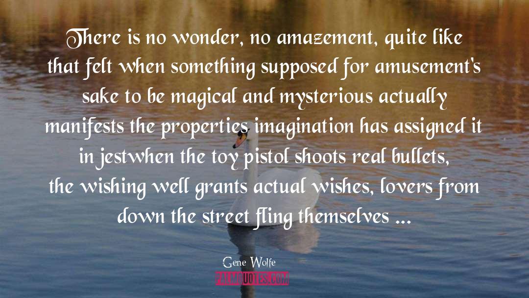 Amusements quotes by Gene Wolfe