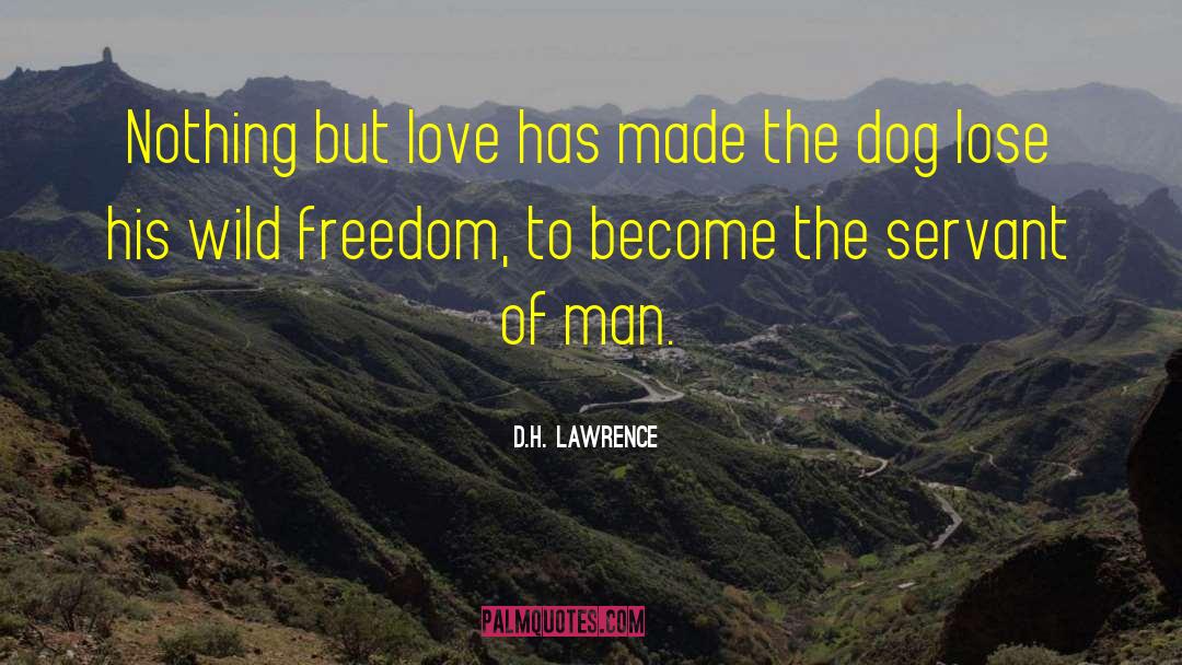 Amusing Dog quotes by D.H. Lawrence