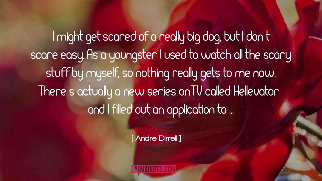 Amusing Dog quotes by Andre Dirrell
