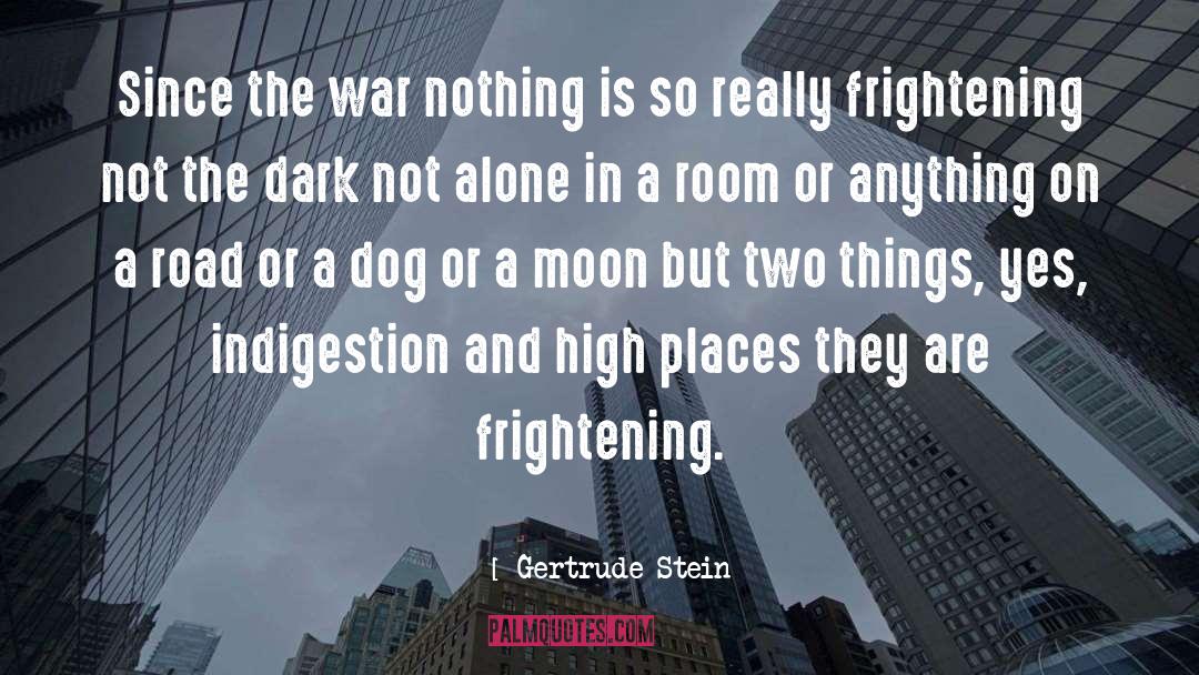 Amusing Dog quotes by Gertrude Stein