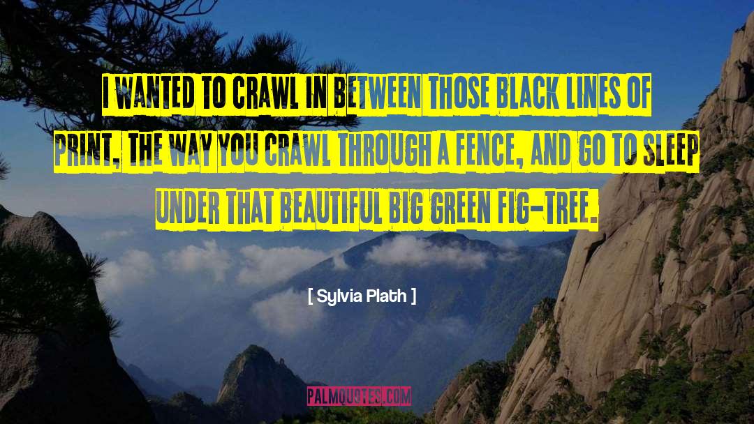 Amusing Lines quotes by Sylvia Plath