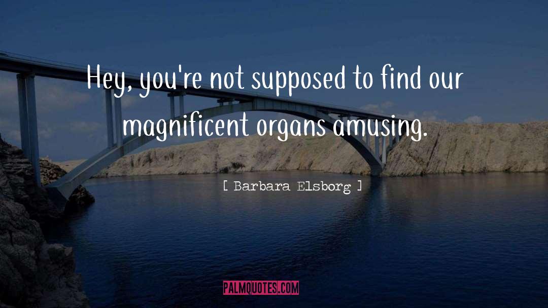 Amusing quotes by Barbara Elsborg