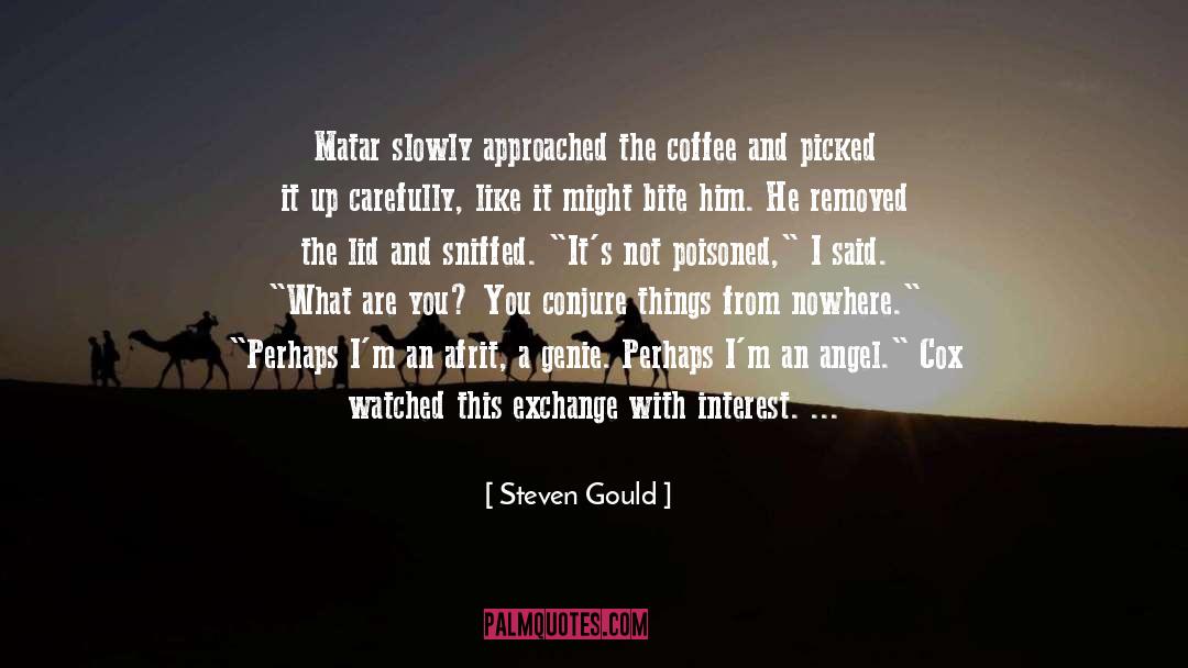 Amy Angel quotes by Steven Gould