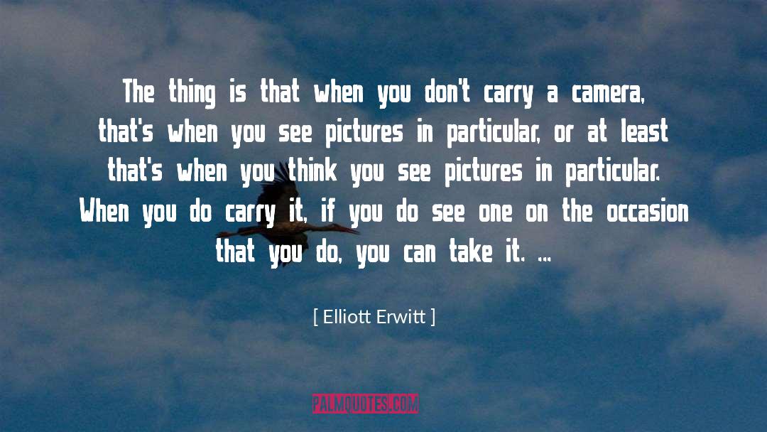 Amy Elliott Dunne quotes by Elliott Erwitt