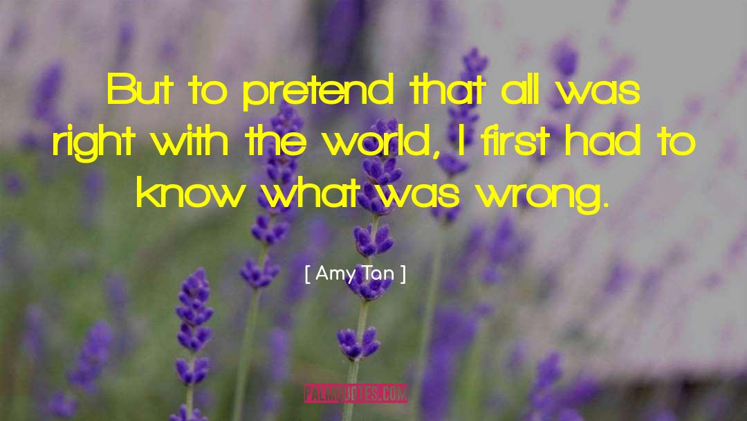 Amy Evans quotes by Amy Tan