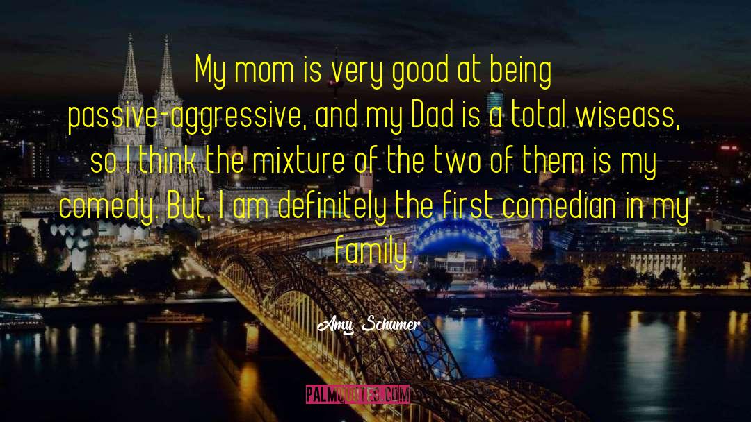 Amy Hodgepodge quotes by Amy Schumer