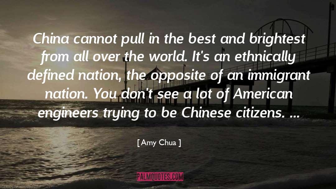 Amy Meredith quotes by Amy Chua