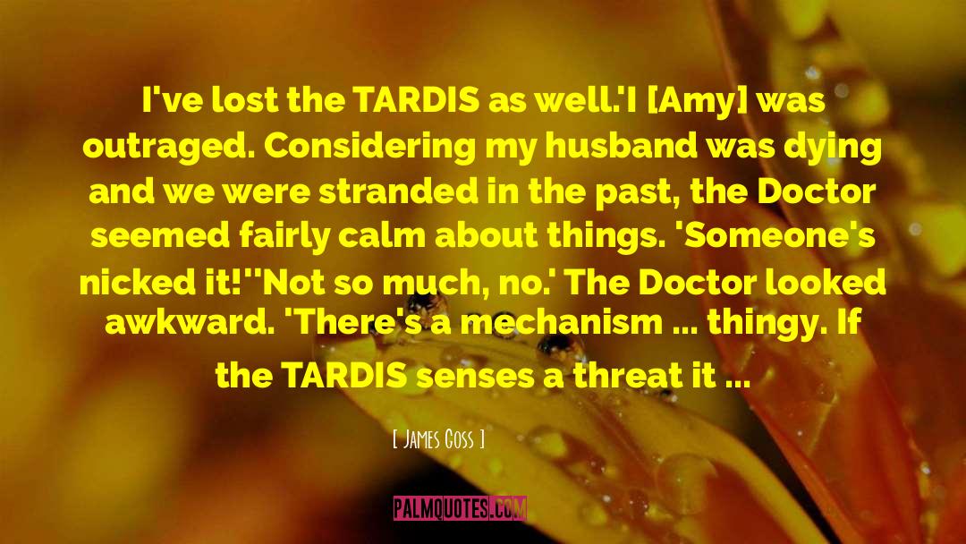 Amy Pond quotes by James Goss