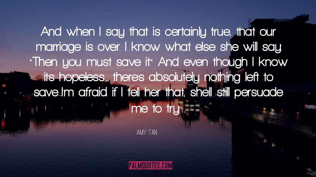 Amy Tan quotes by Amy Tan