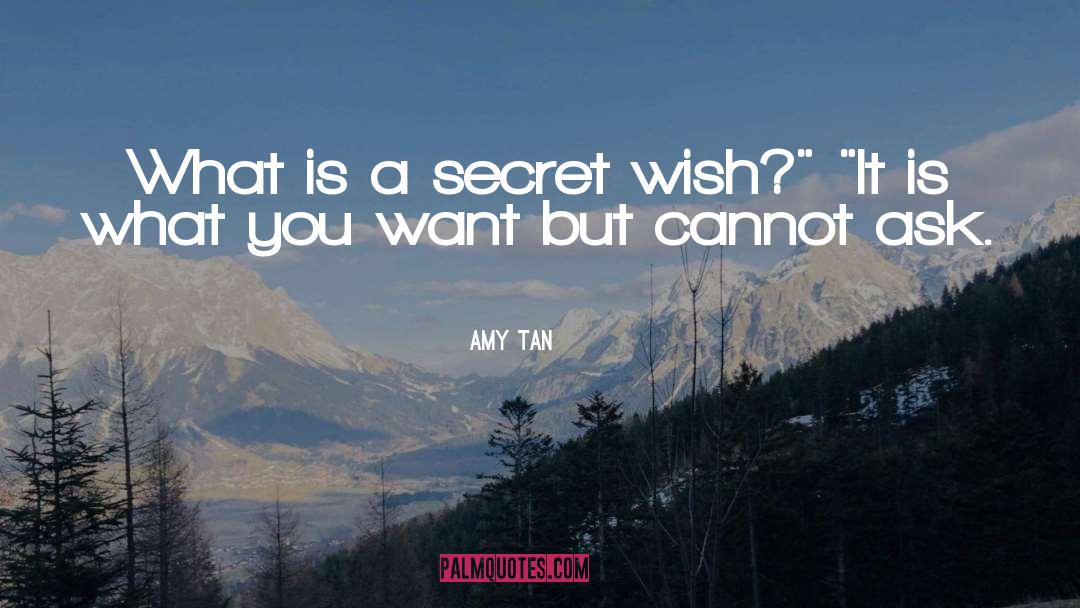 Amy Tintera quotes by Amy Tan