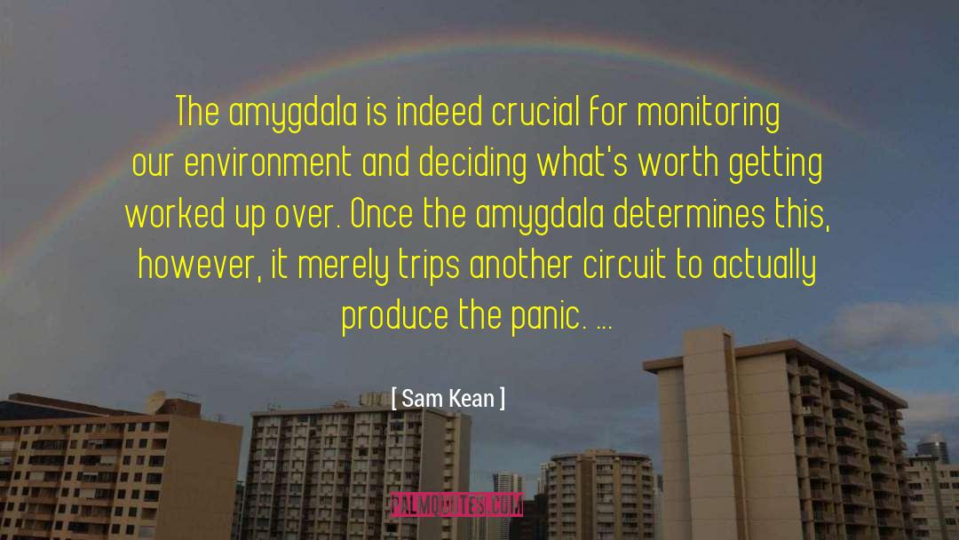 Amygdala quotes by Sam Kean