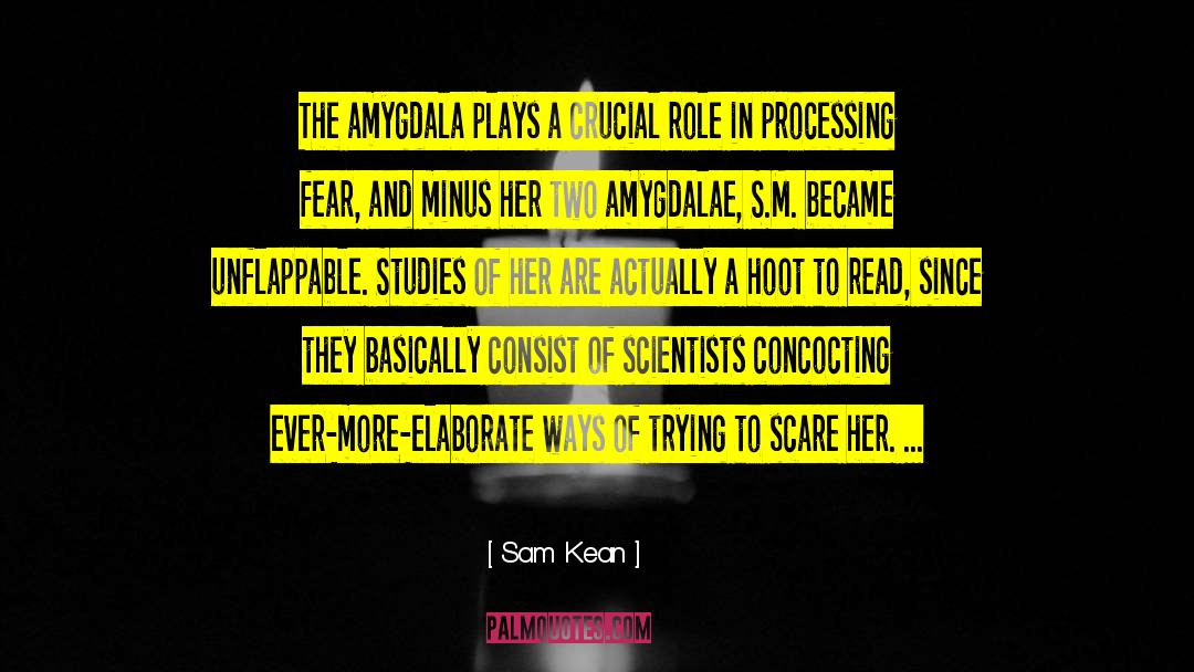 Amygdala quotes by Sam Kean
