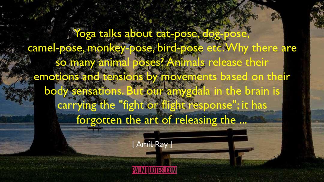 Amygdala quotes by Amit Ray