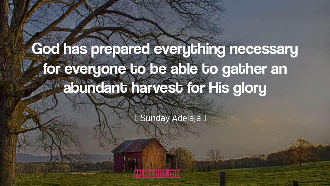 An Abundant Life quotes by Sunday Adelaja