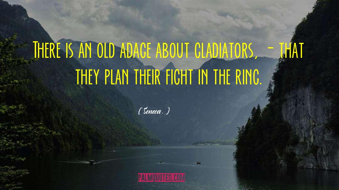 An Adage quotes by Seneca.