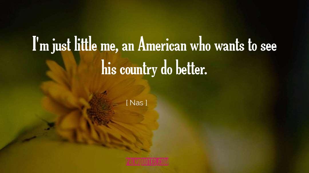 An American Dream quotes by Nas