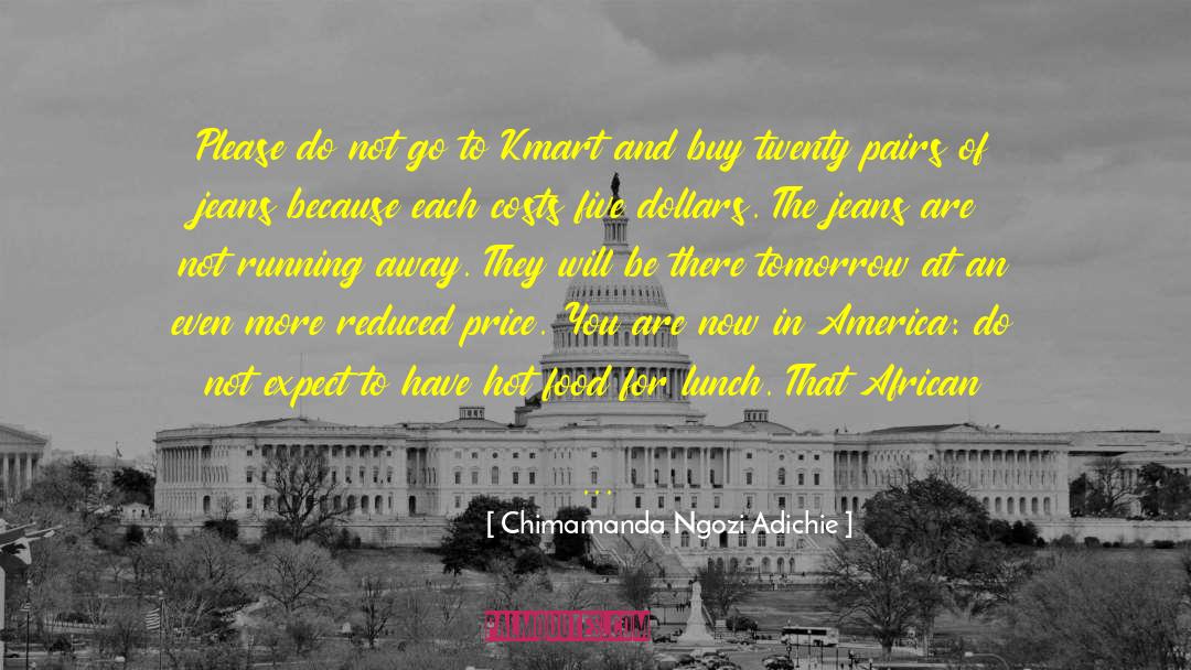 An American Marriage quotes by Chimamanda Ngozi Adichie