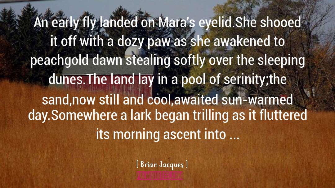 An Awakened Man quotes by Brian Jacques