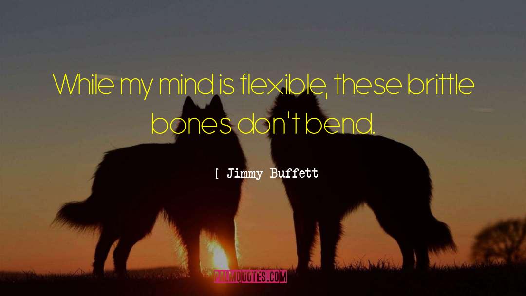 An Education quotes by Jimmy Buffett