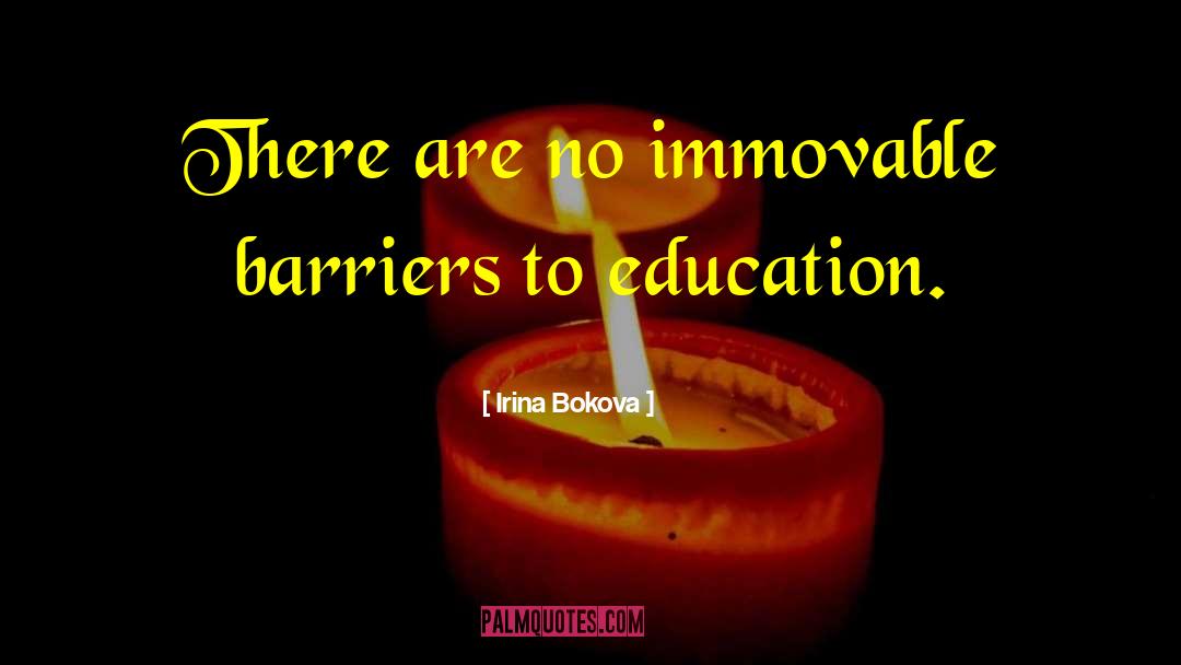 An Education quotes by Irina Bokova